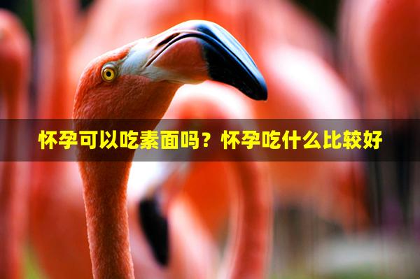 怀孕可以吃素面吗？怀孕吃什么比较好