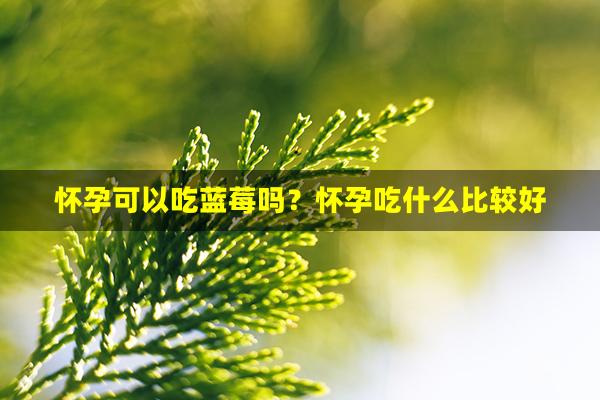 怀孕可以吃蓝莓吗？怀孕吃什么比较好