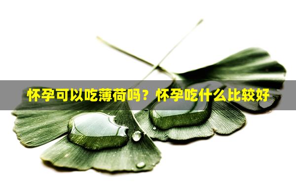 怀孕可以吃薄荷吗？怀孕吃什么比较好