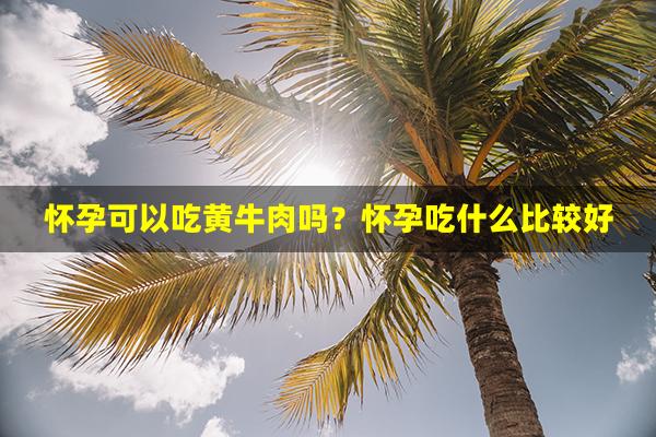 怀孕可以吃黄牛肉吗？怀孕吃什么比较好