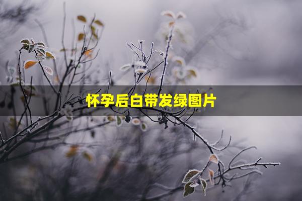 怀孕后白带发绿图片