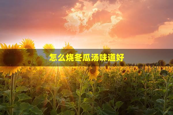 怎么烧冬瓜汤味道好