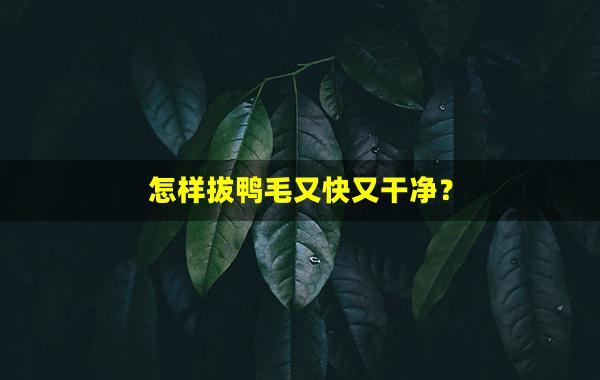 怎样拔鸭毛又快又干净？