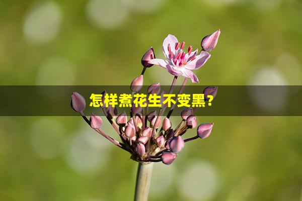 怎样煮花生不变黑？