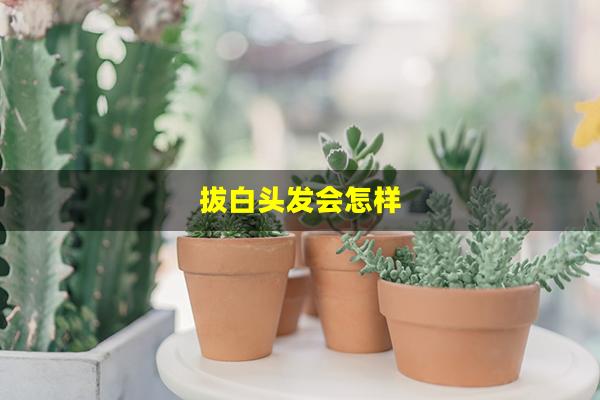 拔白头发会怎样