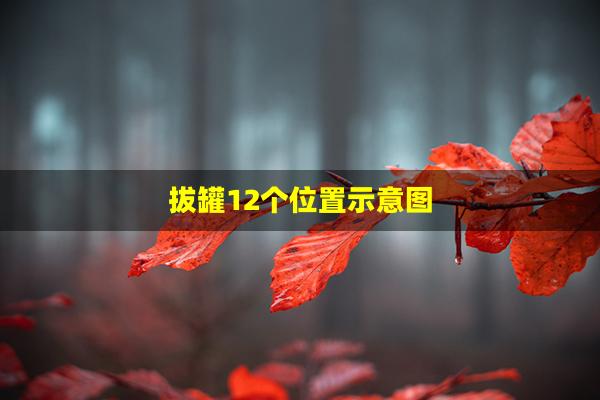 拔罐12个位置示意图