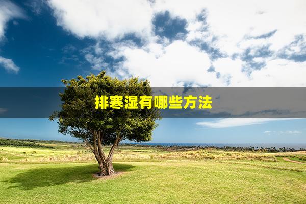 排寒湿有哪些方法