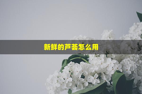 新鲜的芦荟怎么用