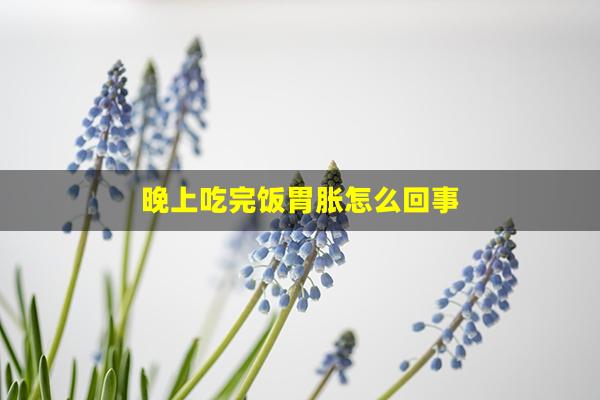 晚上吃完饭胃胀怎么回事