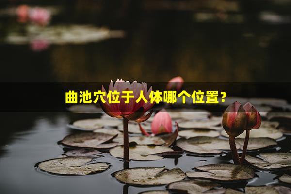 曲池穴位于人体哪个位置？