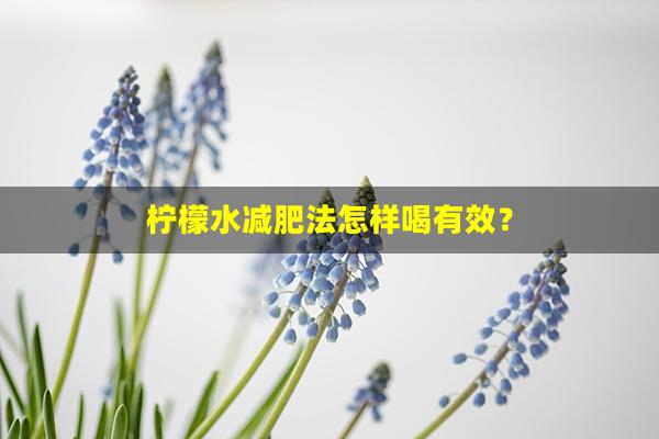 柠檬水减肥法怎样喝有效？