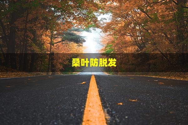 桑叶防脱发