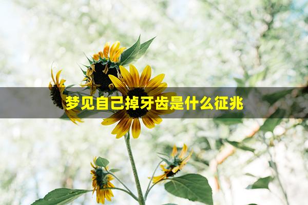 梦见自己掉牙齿是什么征兆