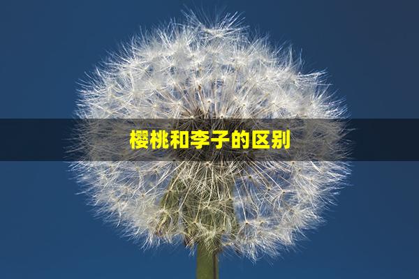 樱桃和李子的区别