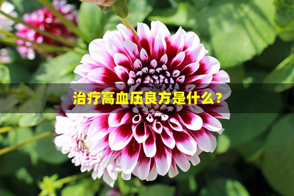 治疗高血压良方是什么？