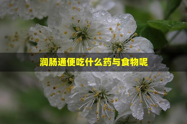 润肠通便吃什么药与食物呢