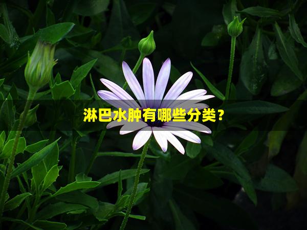 淋巴水肿有哪些分类？