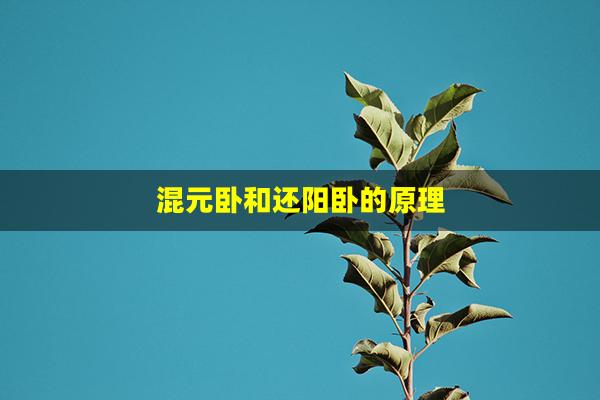 混元卧和还阳卧的原理