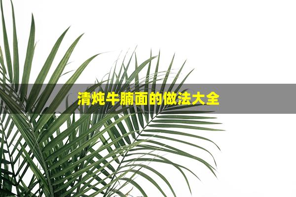 清炖牛腩面的做法大全