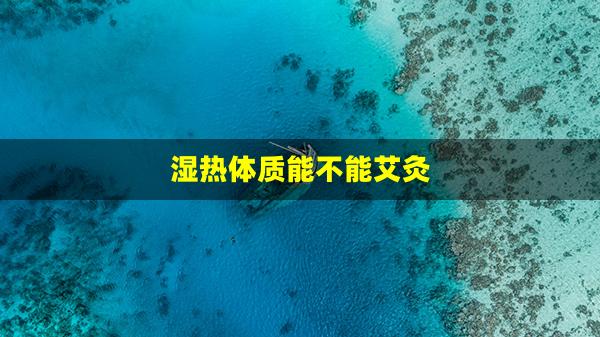 湿热体质能不能艾灸