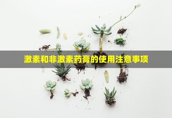 激素和非激素药膏的使用注意事项