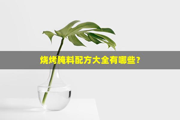 烧烤腌料配方大全有哪些？