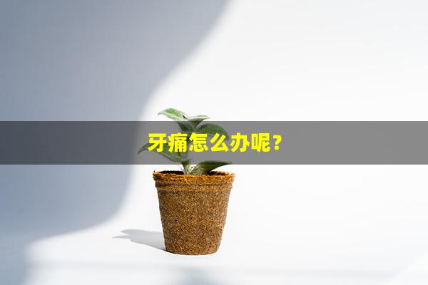 牙痛怎么办呢？