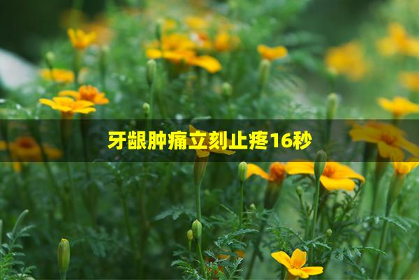 牙龈肿痛立刻止疼16秒