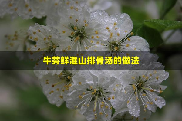 牛蒡鲜淮山排骨汤的做法