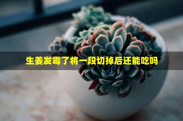 生姜发霉了将一段切掉后还能吃吗