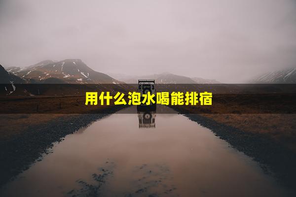 用什么泡水喝能排宿