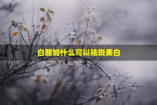 白醋加什么可以祛斑美白