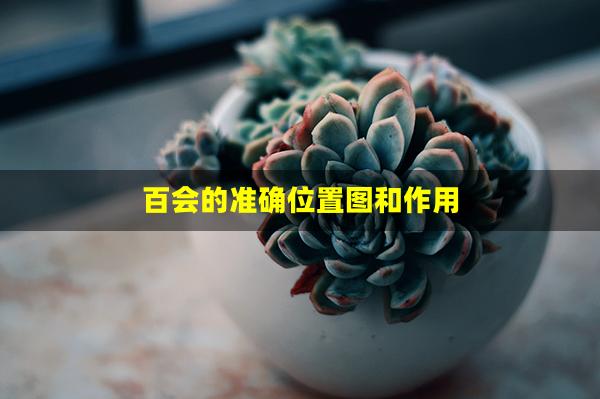 百会的准确位置图和作用