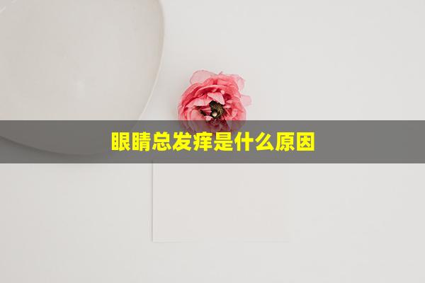 眼睛总发痒是什么原因