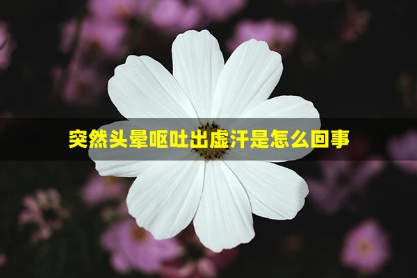 突然头晕呕吐出虚汗是怎么回事