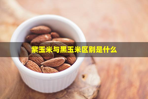 紫玉米与黑玉米区别是什么