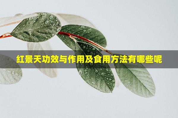 红景天功效与作用及食用方法有哪些呢