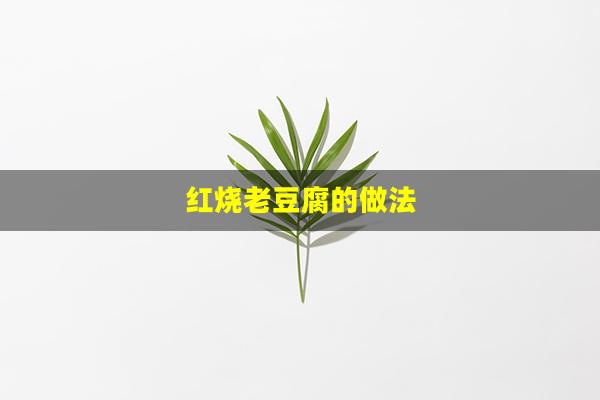 红烧老豆腐的做法