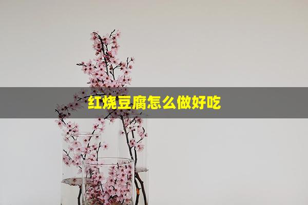 红烧豆腐怎么做好吃