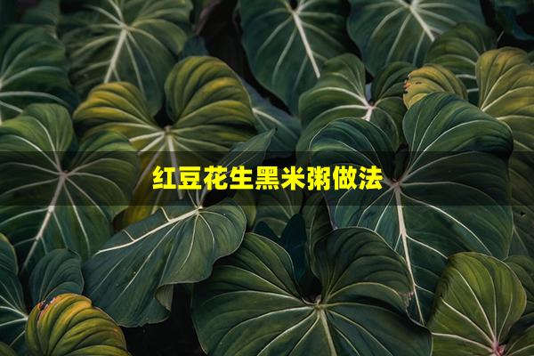 红豆花生黑米粥做法