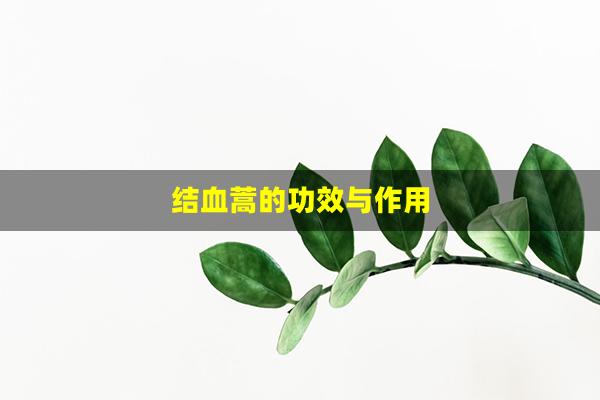 结血蒿的功效与作用