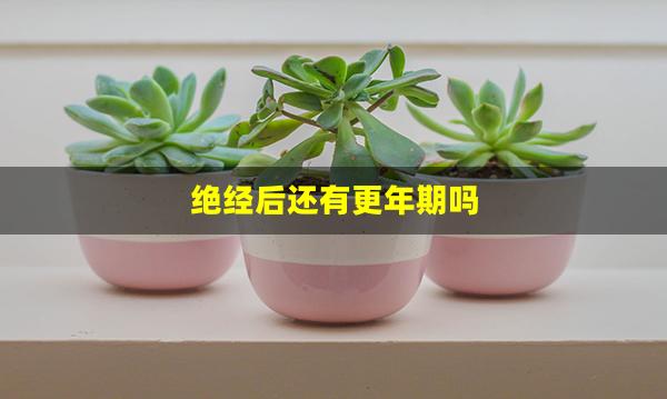 绝经后还有更年期吗