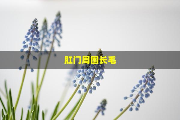 肛门周围长毛