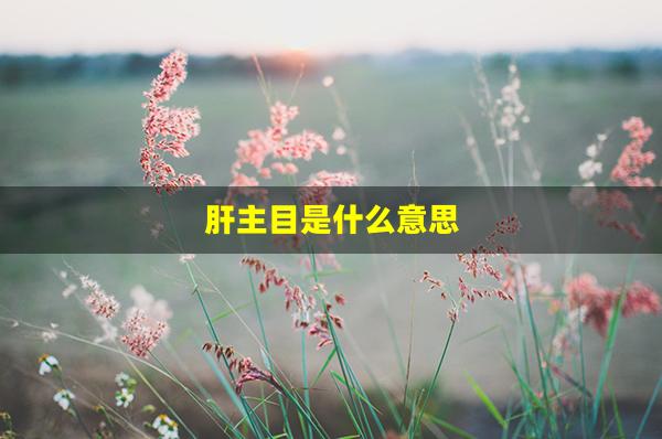 肝主目是什么意思