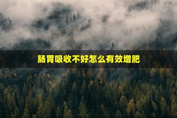 肠胃吸收不好怎么有效增肥