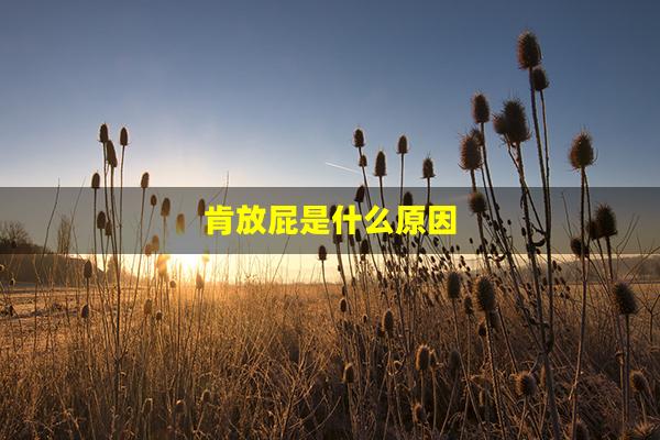 肯放屁是什么原因