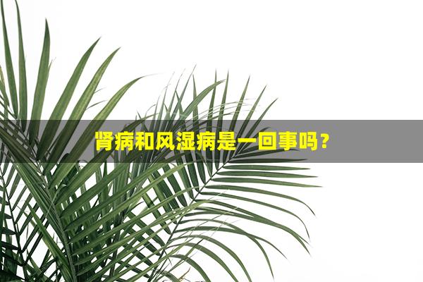 肾病和风湿病是一回事吗？