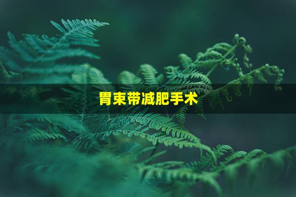 胃束带减肥手术