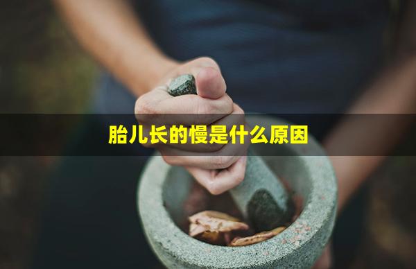 胎儿长的慢是什么原因