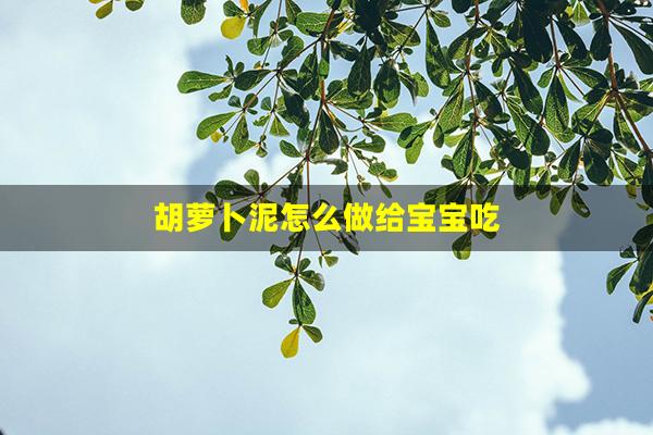 胡萝卜泥怎么做给宝宝吃